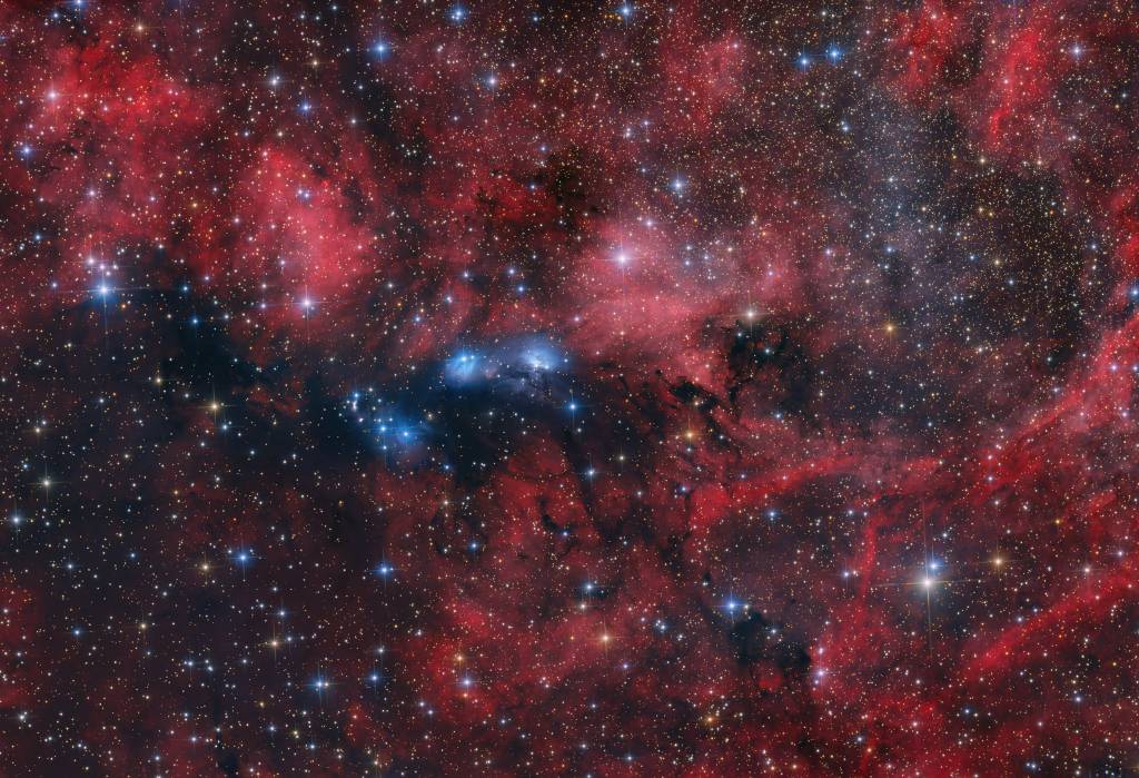 Preskúmanie farebných interakcií NGC 6914 - Astronomická fotografia dňa 2025-09-19 | Komplex NGC 6914, hviezdy, medzihviezdny prach